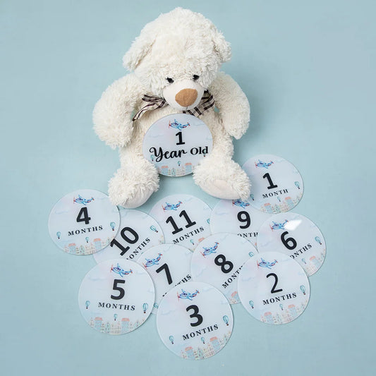 A Year in the Clouds - Baby's 1st Year Record Plaques